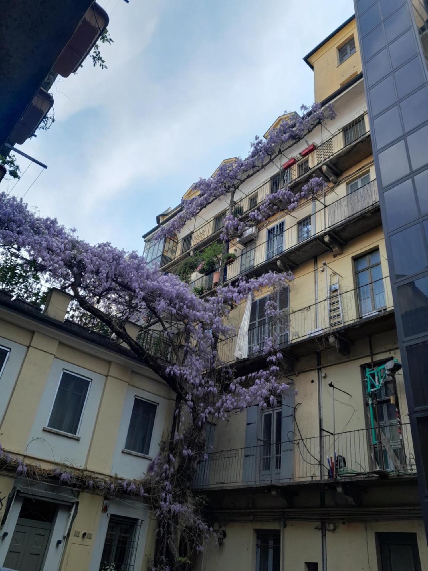 Inquadro Apartment